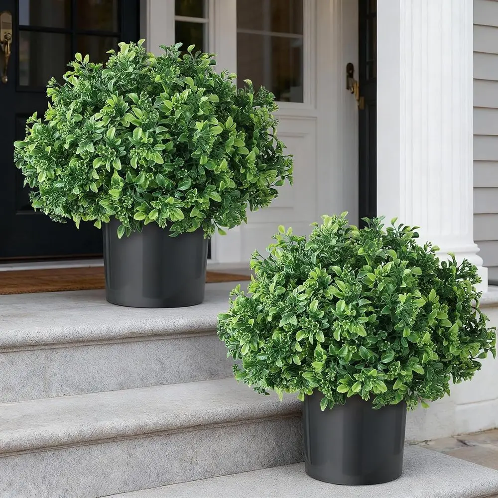 Realistic Boxwood Topiary Ball Trees for Front Door - Potted Aglaia Odorata Bush with Pot, Eucalyptus-Style Greenery for Outdoor
Realistic Boxwood Topiary Ball Trees for Front Door - Potted Aglaia Odorata Bush with Pot, Eucalyptus-Style Greenery for Outdoor