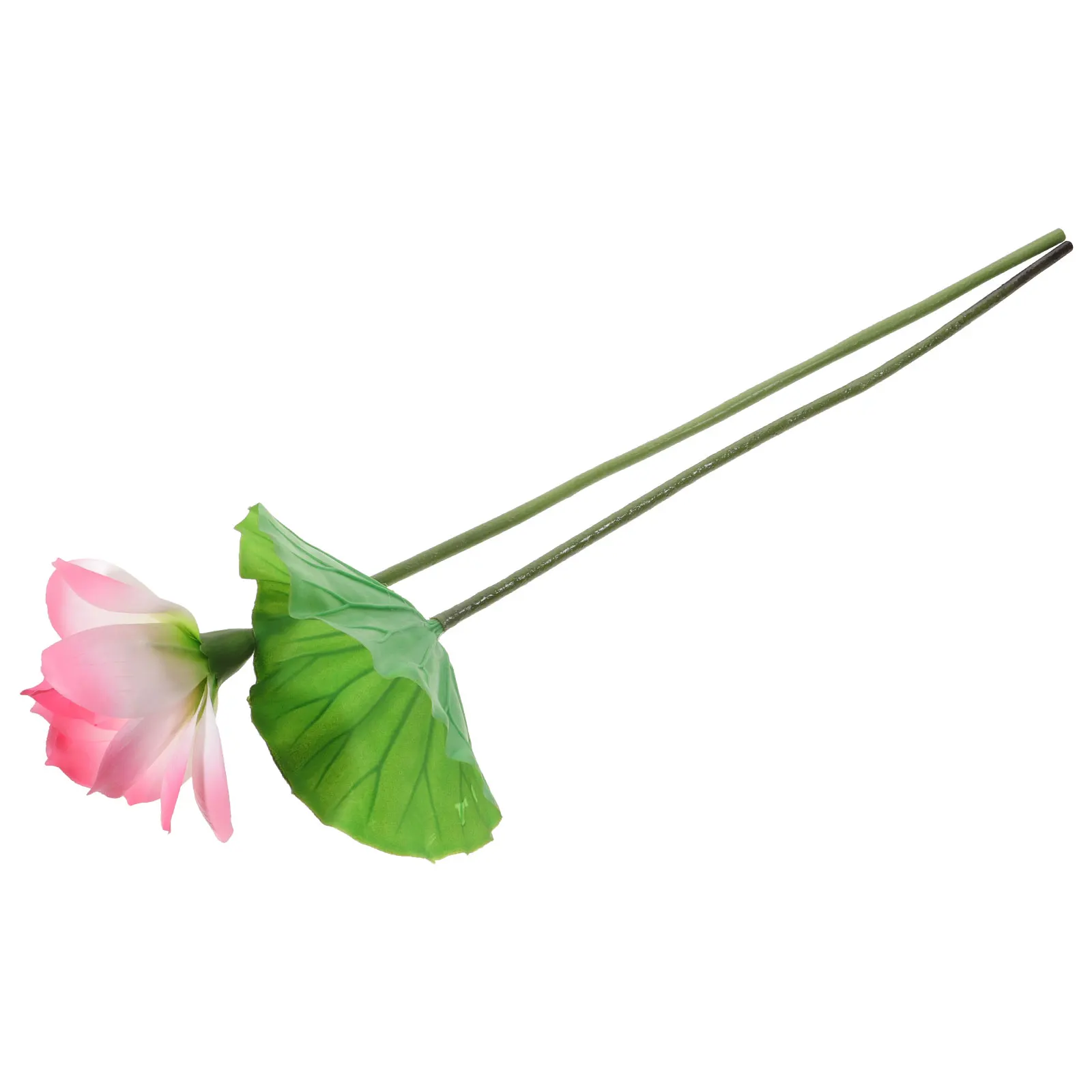 1 set Fake Stems PU Material Deep Leaves Home Decor Lotus Ornament Artificial Water Lily Pool Arrangement
1 set Fake Stems PU Material Deep Leaves Home Decor Lotus Ornament Artificial Water Lily Pool Arrangement