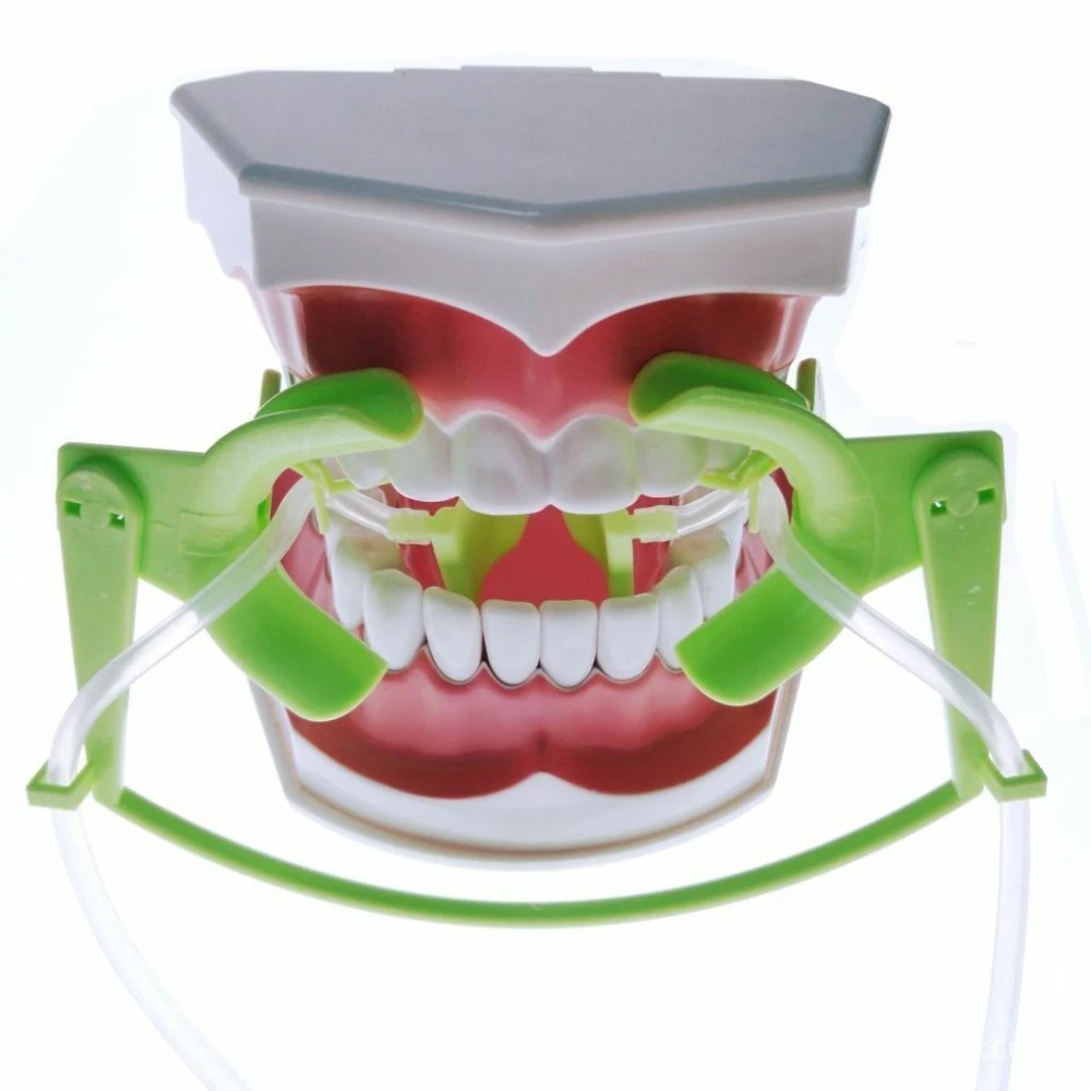 Dental Cheek Retractor Oral Dry Field Suction System Mouth Opener Orthodontic 1pc
Dental Cheek Retractor Oral Dry Field Suction System Mouth Opener Orthodontic 1pc