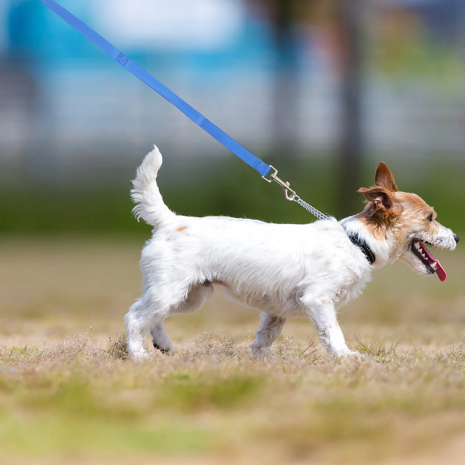 Pet Traction Walking Leash For Running Dog Leash Chain Traction Rope For Dog Walking Rope Sturdy Durability
Pet Traction Walking Leash For Running Dog Leash Chain Traction Rope For Dog Walking Rope Sturdy Durability