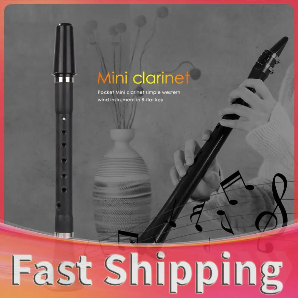Mini Bb B Flat Clarinet Pocket Clarionet Woodwind Instrument with Storage Bags for Beginners Practice Musical Instrument
Mini Bb B Flat Clarinet Pocket Clarionet Woodwind Instrument with Storage Bags for Beginners Practice Musical Instrument
