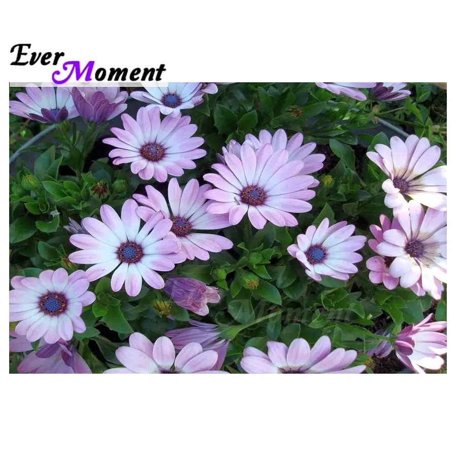 Ever Moment Diamond Painting Cross Stitch Flower Decoration For Home Full Square Drill Picture Of Rhinestone Handmade ASF1372
Ever Moment Diamond Painting Cross Stitch Flower Decoration For Home Full Square Drill Picture Of Rhinestone Handmade ASF1372