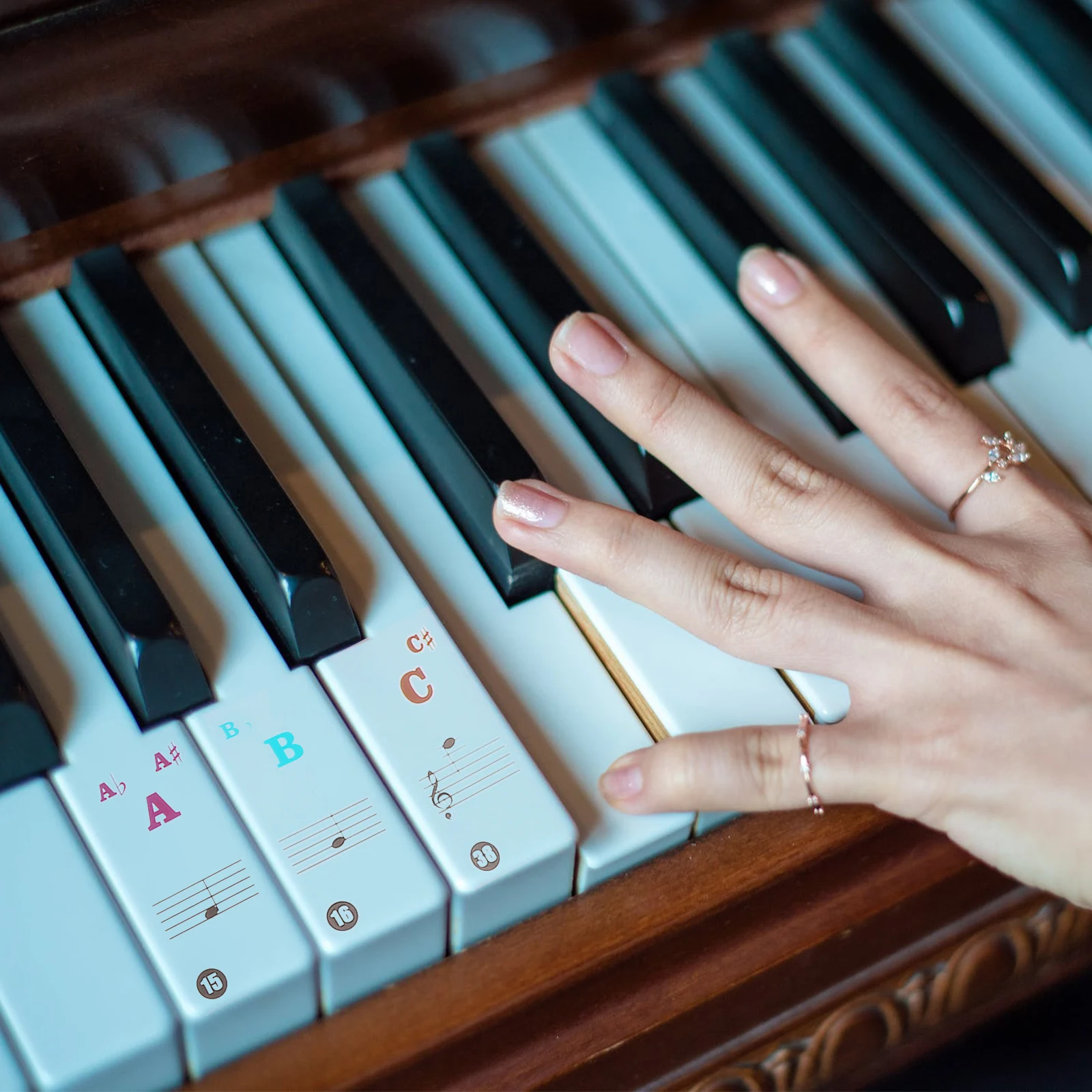 2 Pcs Tag Piano Keyboard Sticker Beginner Decal Mini Introductory for Applique Practical Accessory
2 Pcs Tag Piano Keyboard Sticker Beginner Decal Mini Introductory for Applique Practical Accessory