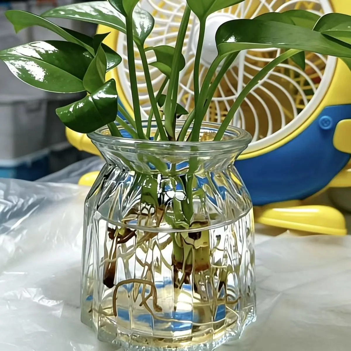 High-luxury Vase Lucky Nafu Diamond Thickened Glass Vases Glacier Flower Arrangement Open Hydroponics Home Decor Table Ornament
High-luxury Vase Lucky Nafu Diamond Thickened Glass Vases Glacier Flower Arrangement Open Hydroponics Home Decor Table Ornament