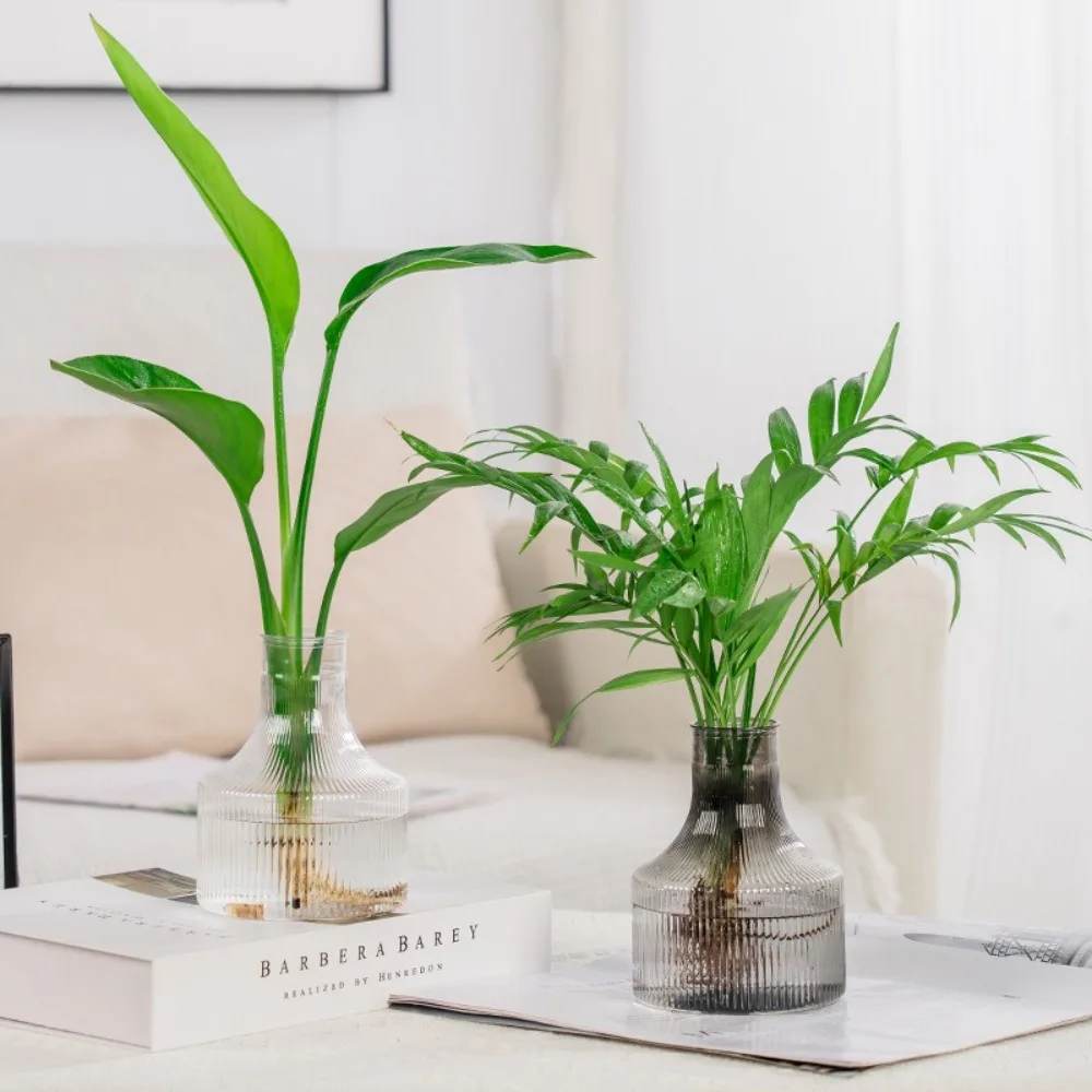 Creative Transparent Hydroponic Plants Pot Plastic Home Decoration Plant Bottle Table Vase
Creative Transparent Hydroponic Plants Pot Plastic Home Decoration Plant Bottle Table Vase