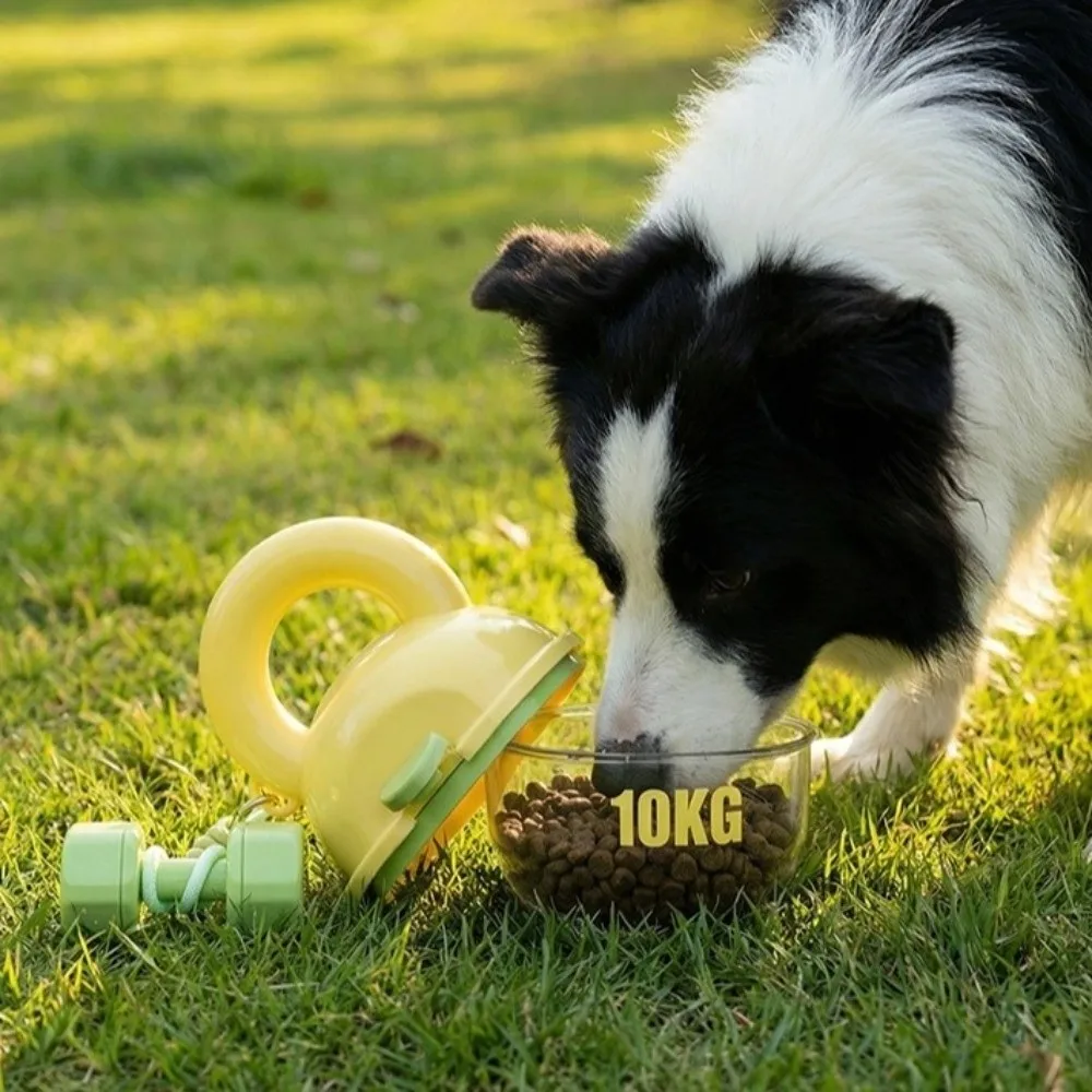Dog Kettle Large Capacity Portable Pet Water Bottle Sealed with Handle Travel Pet Feeder Leak-Proof Pet Water Dispenser Hiking
Dog Kettle Large Capacity Portable Pet Water Bottle Sealed with Handle Travel Pet Feeder Leak-Proof Pet Water Dispenser Hiking