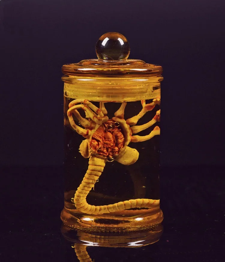 Alien Jar Xenomorph Specimen Facehugger Embryo Glass Jar Movie Prop Replica Home Decor Desktop Crafts Sculpture Decoration
Alien Jar Xenomorph Specimen Facehugger Embryo Glass Jar Movie Prop Replica Home Decor Desktop Crafts Sculpture Decoration