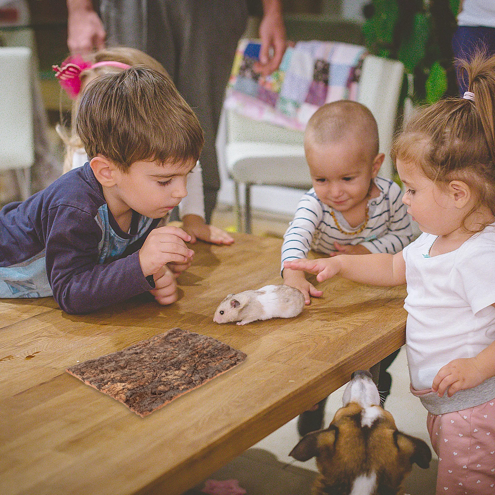 2 шт. Натуральная платформа из коры дерева для рептилий: террариумная лежанка для черепах, декор для террариума, место для лазания и отдыха
2 шт. Натуральная платформа из коры дерева для рептилий: террариумная лежанка для черепах, декор для террариума, место для лазания и отдыха