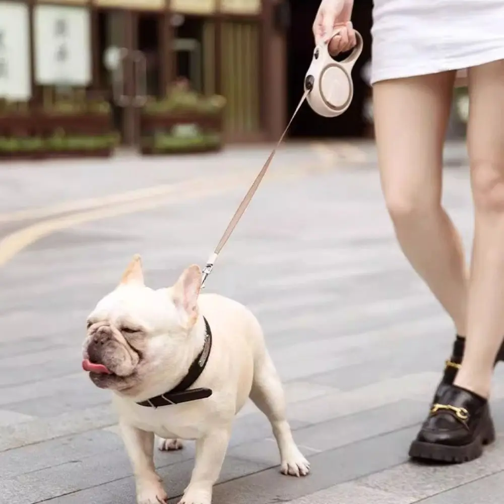 Wear-resistant Pet Dog Leash Anti-bite Adjustable Dog Walking Leash Automatic Extending Retractable Dog Leash Travel
Wear-resistant Pet Dog Leash Anti-bite Adjustable Dog Walking Leash Automatic Extending Retractable Dog Leash Travel