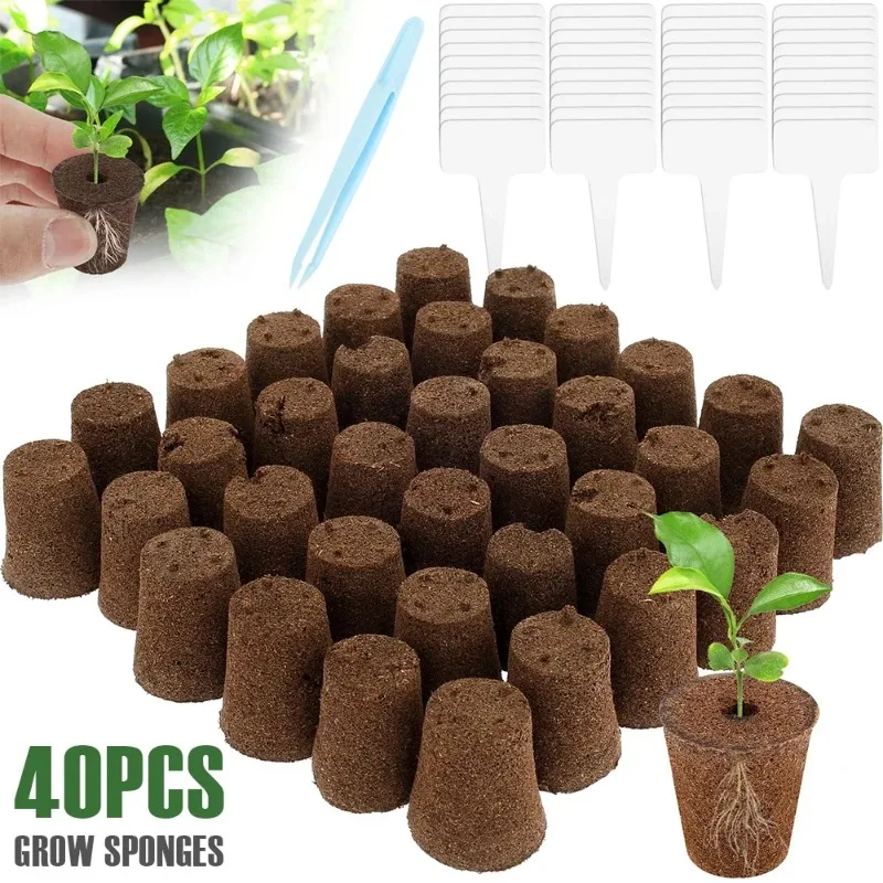 40Pcs Seed Grow Sponges Garden Hydroponic Seedling Starter Sponges with Plant Labels & Tweezers Replacement Root Growth Sponges
40Pcs Seed Grow Sponges Garden Hydroponic Seedling Starter Sponges with Plant Labels & Tweezers Replacement Root Growth Sponges