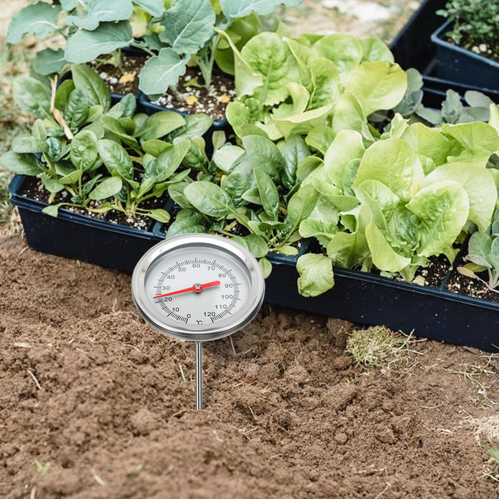 Stainless Steel Soil Thermometer Probe Garden Tool Compost Temperature Measuring Gauge Durable Precision Gardening Tool for Home 
Stainless Steel Soil Thermometer Probe Garden Tool Compost Temperature Measuring Gauge Durable Precision Gardening Tool for Home