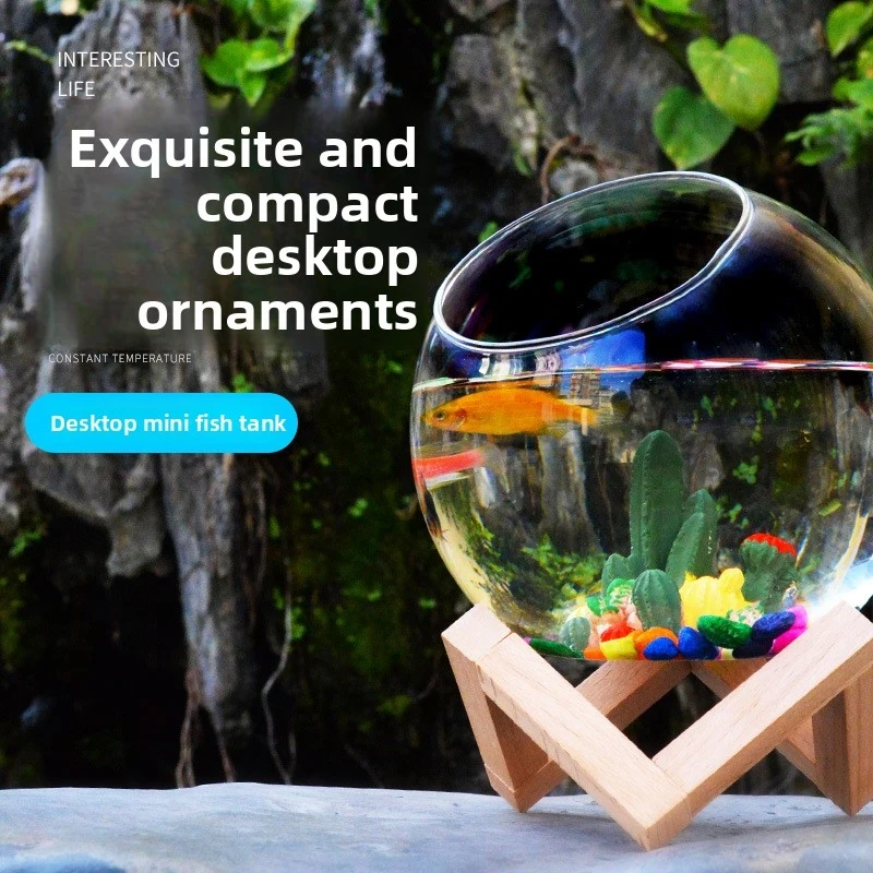 Mini Desktop Aquarium for Betta Fish - Small Acrylic Fish Tank with Decor, Office Home Desk Ornament, Low Maintenance
Mini Desktop Aquarium for Betta Fish - Small Acrylic Fish Tank with Decor, Office Home Desk Ornament, Low Maintenance