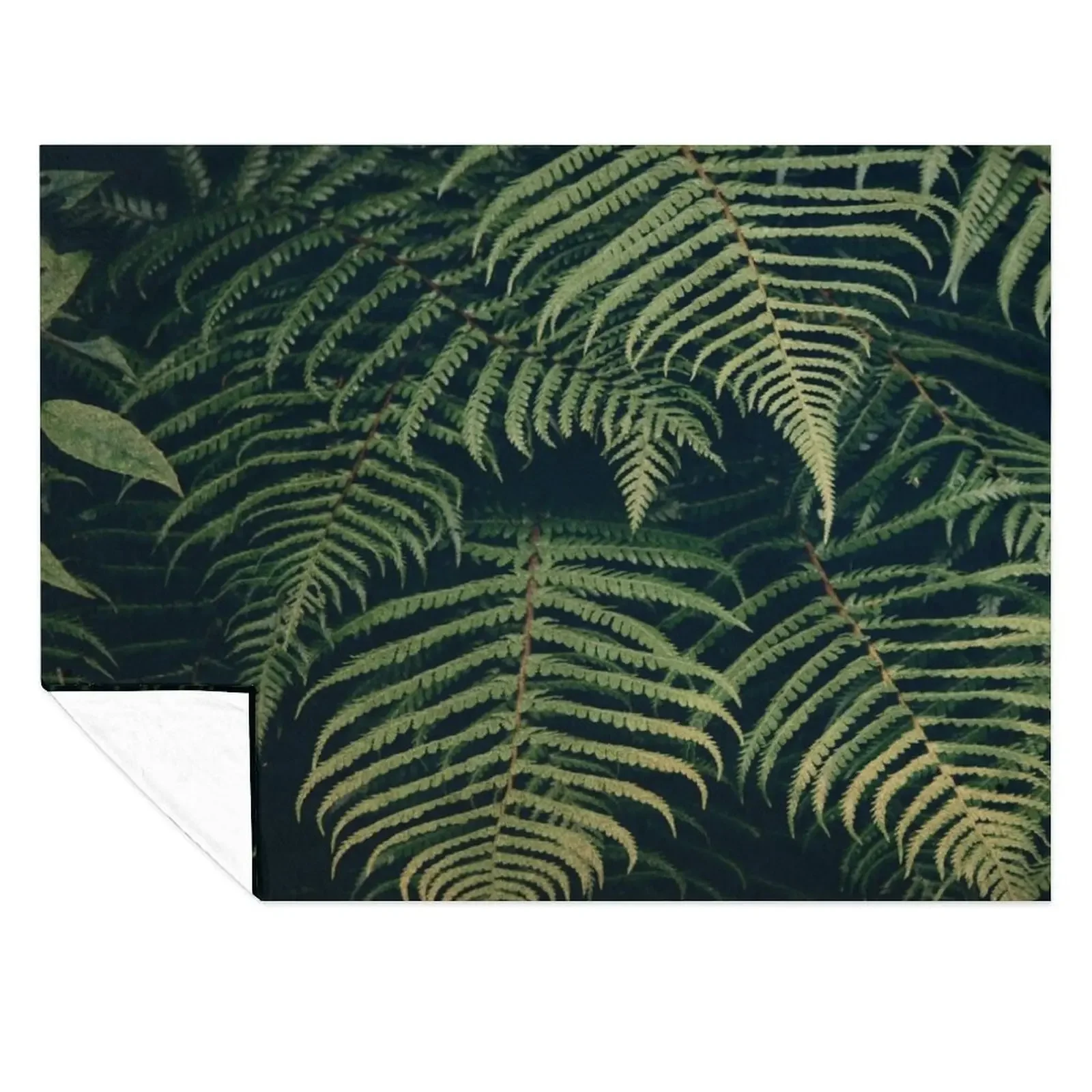 Green Ferns - Vintage Design Throw Blanket Camping Thin blankets and throws Decorative Beds Blankets 
Green Ferns - Vintage Design Throw Blanket Camping Thin blankets and throws Decorative Beds Blankets