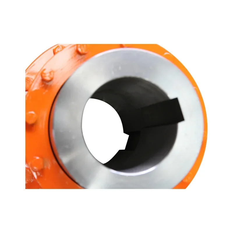 Stainless Steel Cast Iron Pump Shaft Gear Coupling High Torque Flexible Coupling
Stainless Steel Cast Iron Pump Shaft Gear Coupling High Torque Flexible Coupling