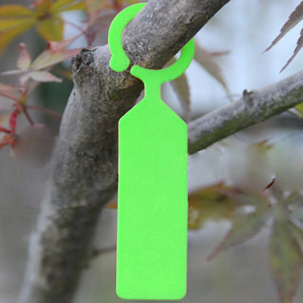 100pcs Garden Plant Labels Orange Pp 11*2.4Cm Weatherproof For Tree Branches 0.79" Nursery Hanging Tags Greenhouse Botanical
100pcs Garden Plant Labels Orange Pp 11*2.4Cm Weatherproof For Tree Branches 0.79" Nursery Hanging Tags Greenhouse Botanical