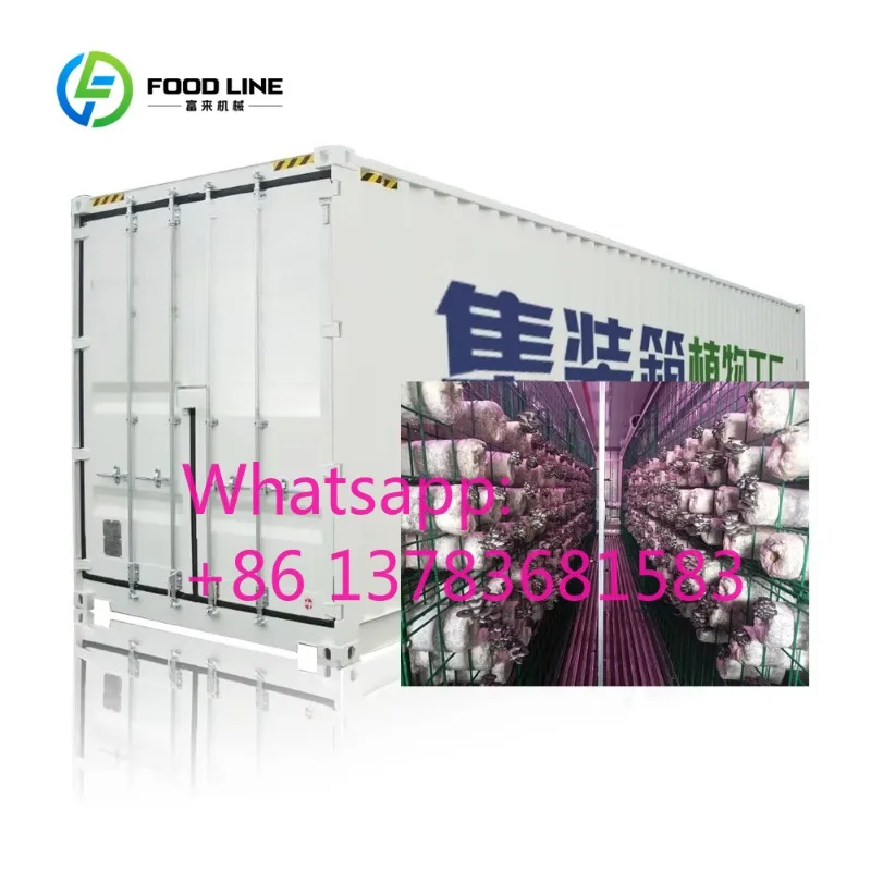 Customized Weather-Resistant Mushroom Cultivation Container Commercial Mushroom Container Farm for Outdoor and Urban Mushroom
Customized Weather-Resistant Mushroom Cultivation Container Commercial Mushroom Container Farm for Outdoor and Urban Mushroom