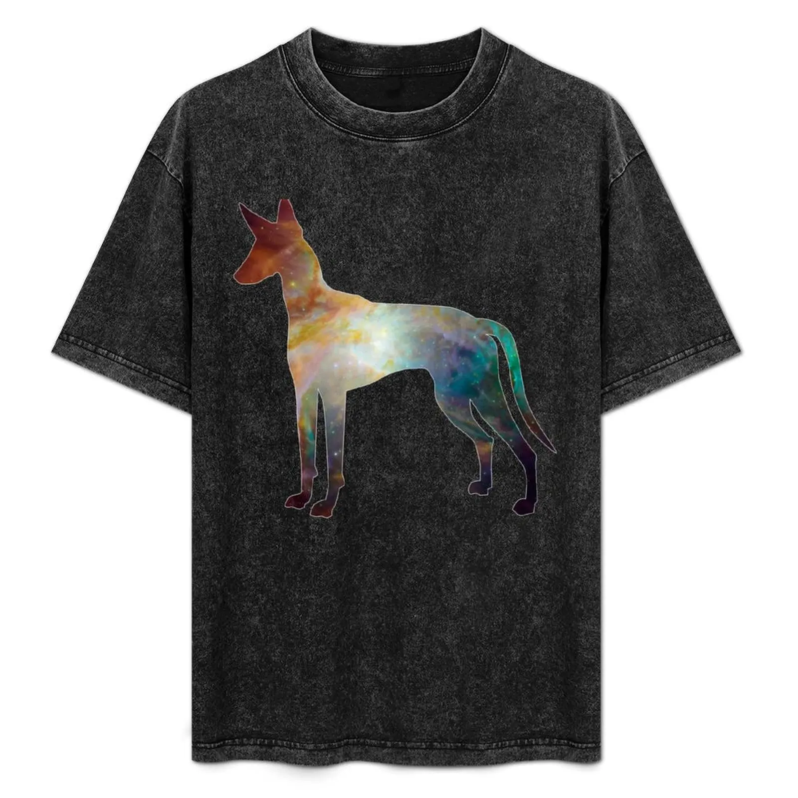 Podenco T-Shirt baggy shirts Aesthetic clothing animal prinfor boys blacks men clothes
Podenco T-Shirt baggy shirts Aesthetic clothing animal prinfor boys blacks men clothes