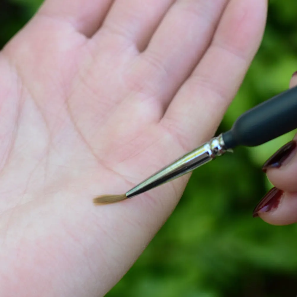 5 Pcs Small Chalk Pen Hand Pollination Tools Set Weeder for Garden Child Pollinate
5 Pcs Small Chalk Pen Hand Pollination Tools Set Weeder for Garden Child Pollinate