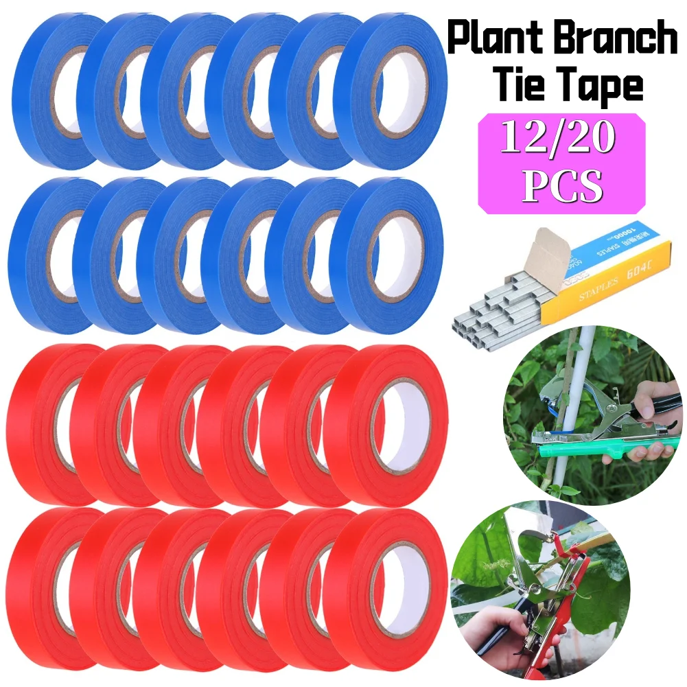12/20pcs Plant Branch Tie Tape with 1 Box Staple Plastic Garden Tape Plant Tying Machine Tape Tool for Vegetable Fruits
12/20pcs Plant Branch Tie Tape with 1 Box Staple Plastic Garden Tape Plant Tying Machine Tape Tool for Vegetable Fruits