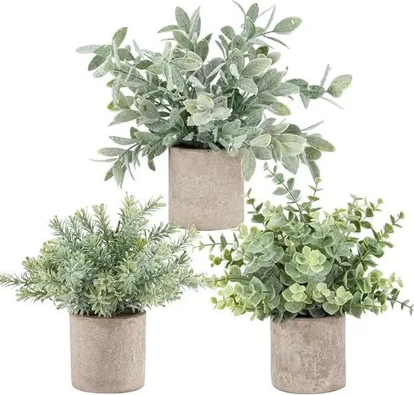 Der Rose 3 Pack Mini Potted Fake Plants Artificial Plastic Eucalyptus Plants Topiaries for Home Office
Der Rose 3 Pack Mini Potted Fake Plants Artificial Plastic Eucalyptus Plants Topiaries for Home Office