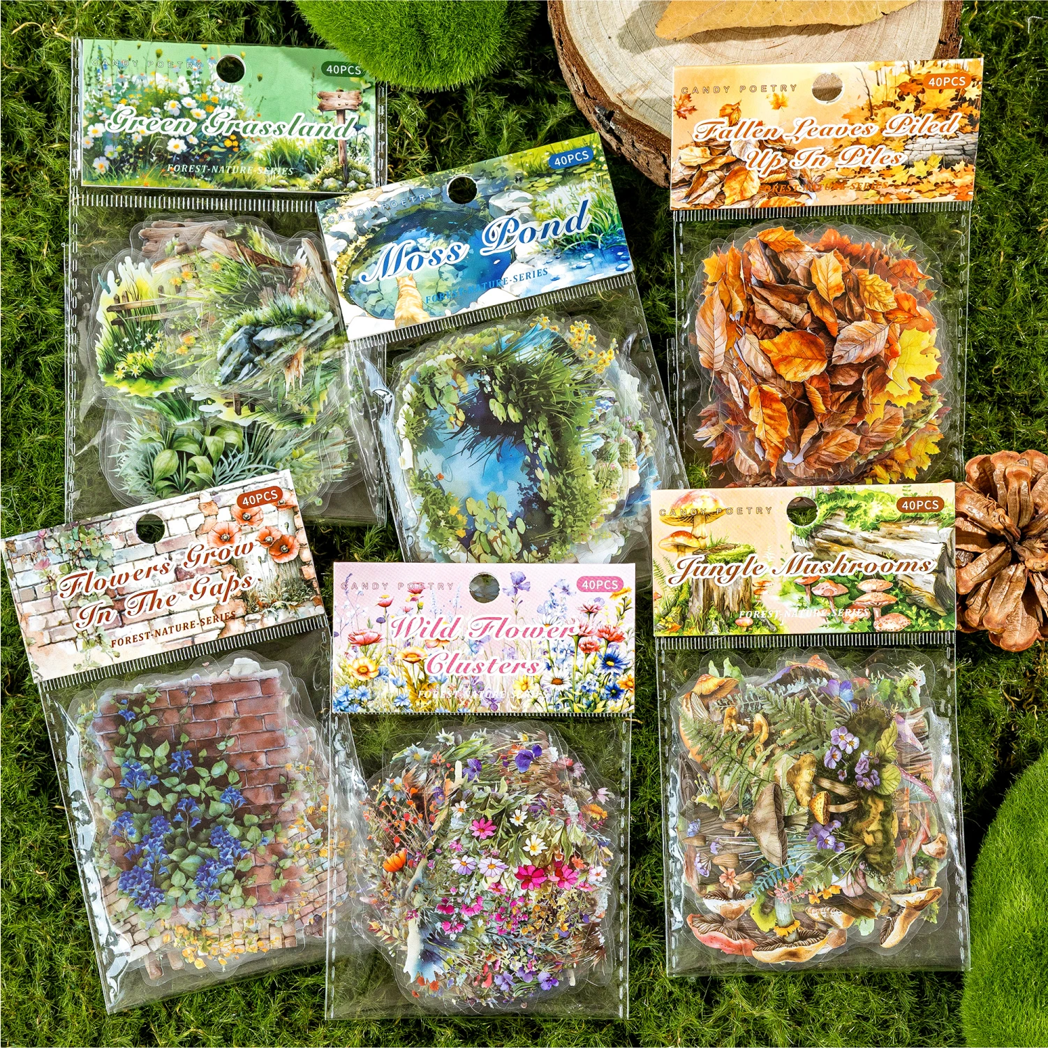 12packs/LOT Forest Nature Series series cute lovely retro decorative PET sticker
12packs/LOT Forest Nature Series series cute lovely retro decorative PET sticker