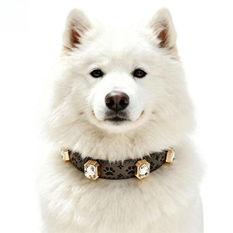 Paw Print Leather Dog Collar, Adjustable Rhinestone Pet Necklace for Small Large Dogs, Bling PU Leather Puppy Kitten Collar
Paw Print Leather Dog Collar, Adjustable Rhinestone Pet Necklace for Small Large Dogs, Bling PU Leather Puppy Kitten Collar