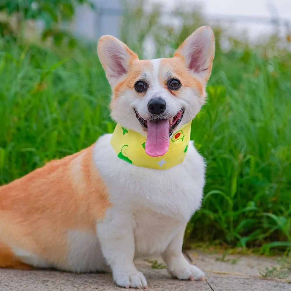 Durable Cartoon Cooling Ice Scarf Portable PVC Pet Scarf Cute Heatstroke Prevention Dog Collar Outdoor
Durable Cartoon Cooling Ice Scarf Portable PVC Pet Scarf Cute Heatstroke Prevention Dog Collar Outdoor
