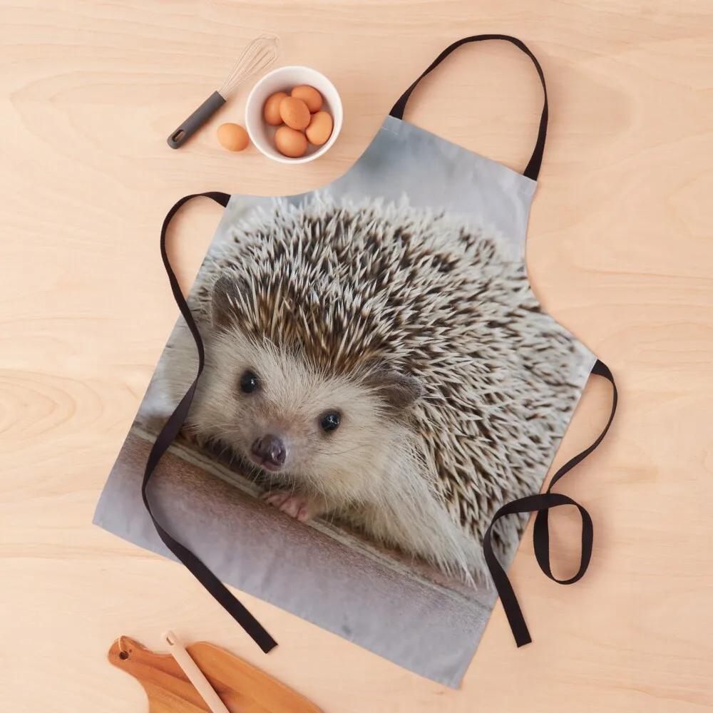 Cute Little Hedgehog Apron Kitchen Tools Kitchen Kawaii Accessories For Kitchen Women Apron
Cute Little Hedgehog Apron Kitchen Tools Kitchen Kawaii Accessories For Kitchen Women Apron