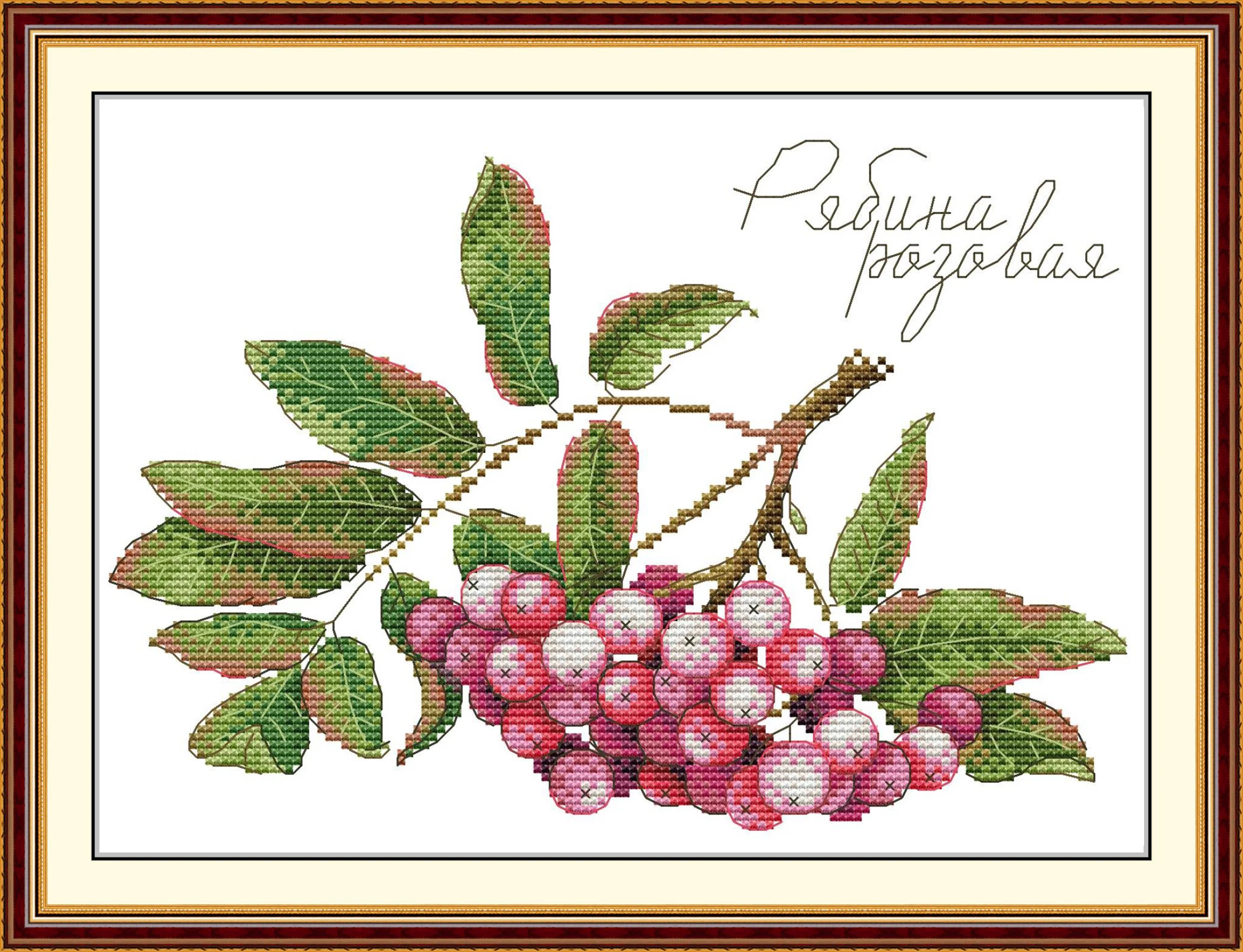 Maydear Full Cross Stitch Kit,11CT/14CT/16CT/9CT Aida Fabric,DMC Threads Sewing Pattern Embroidery Set-Fruit Series 1
Maydear Full Cross Stitch Kit,11CT/14CT/16CT/9CT Aida Fabric,DMC Threads Sewing Pattern Embroidery Set-Fruit Series 1