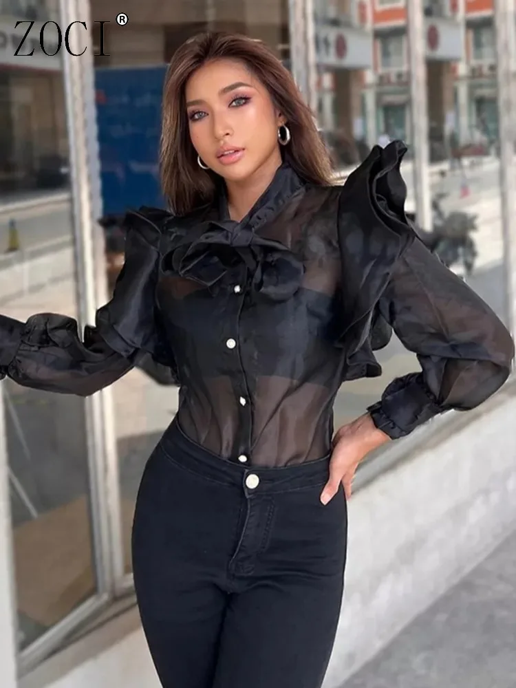ZOCI женская блузка в дворцовом стиле из органзы, подиумные рубашки с рюшами, уникальный дизайн, сетчатая рубашка, офисная женская рубашка, новинка весны 2023 г. 
ZOCI женская блузка в дворцовом стиле из органзы, подиумные рубашки с рюшами, уникальный дизайн, сетчатая рубашка, офисная женская рубашка, новинка весны 2023 г.