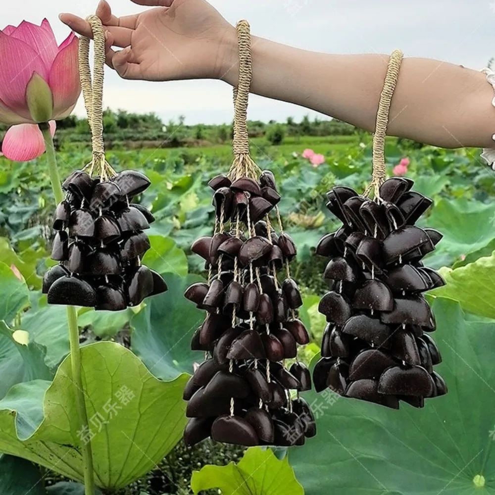 Натуральные фруктовые колокольчики, звуковая терапия, колокольчики с ручным управлением, лечебные колокольчики для йоги, медитации, музыкальные инструменты, ударные инструменты
Натуральные фруктовые колокольчики, звуковая терапия, колокольчики с ручным управлением, лечебные колокольчики для йоги, медитации, музыкальные инструменты, ударные инструменты