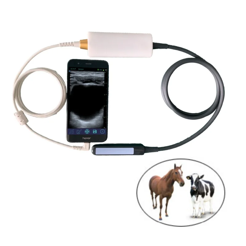 USB USG Cattle Horse Vet Medical Equipment Wireless Rectal Linear Animal & Veterinary Portable Ultrasound
USB USG Cattle Horse Vet Medical Equipment Wireless Rectal Linear Animal & Veterinary Portable Ultrasound
