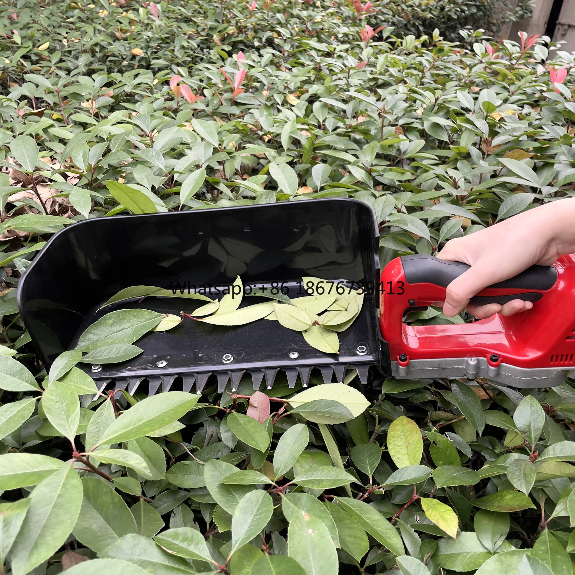 Mini Portable Tea Harvesting Machine Battery Operated Tea Plucking Machine Tea Plucker With Battery
Mini Portable Tea Harvesting Machine Battery Operated Tea Plucking Machine Tea Plucker With Battery