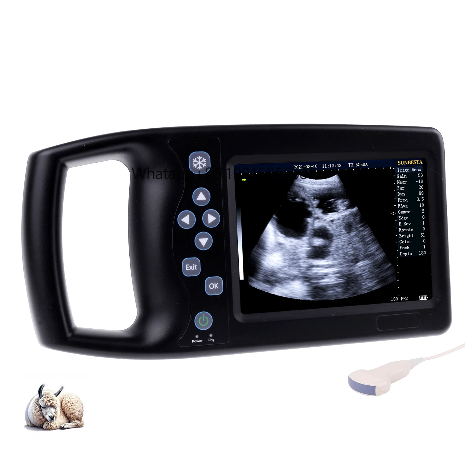 Ce Certified A8 Veterinary Handheld Sonar Ultrasound Goat Sheep Ultrasound for Small Shape Animals
Ce Certified A8 Veterinary Handheld Sonar Ultrasound Goat Sheep Ultrasound for Small Shape Animals