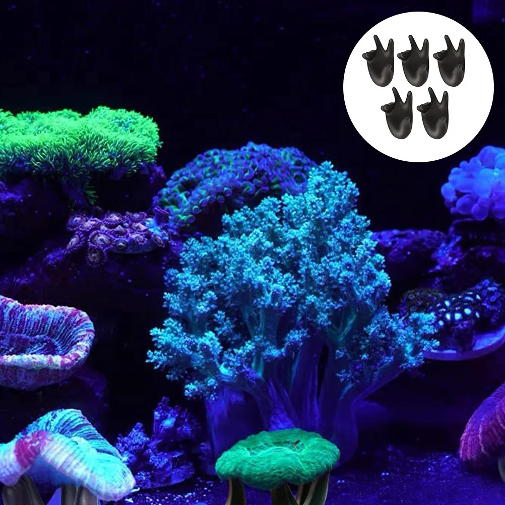 5Pcs Coral Base Stand for Aquarium Fish Tank Decorative Buddha Hand Ornament Coral Rack Display Holder Home Office Desk
5Pcs Coral Base Stand for Aquarium Fish Tank Decorative Buddha Hand Ornament Coral Rack Display Holder Home Office Desk
