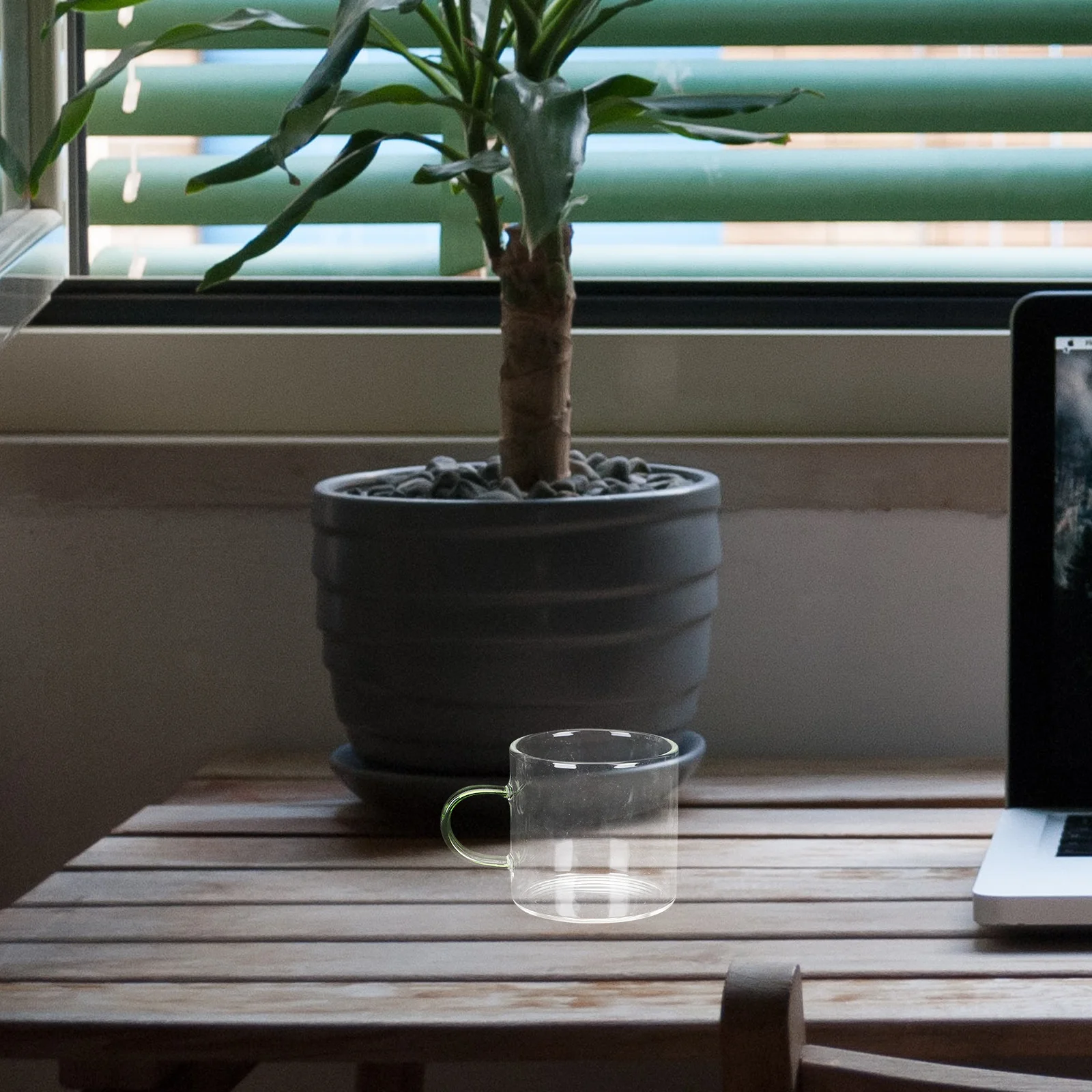 4 Pcs Decoration Gift Cup Glass Teaware Kung Fu Drinking Heat Resistant Teacup Home Supply
4 Pcs Decoration Gift Cup Glass Teaware Kung Fu Drinking Heat Resistant Teacup Home Supply