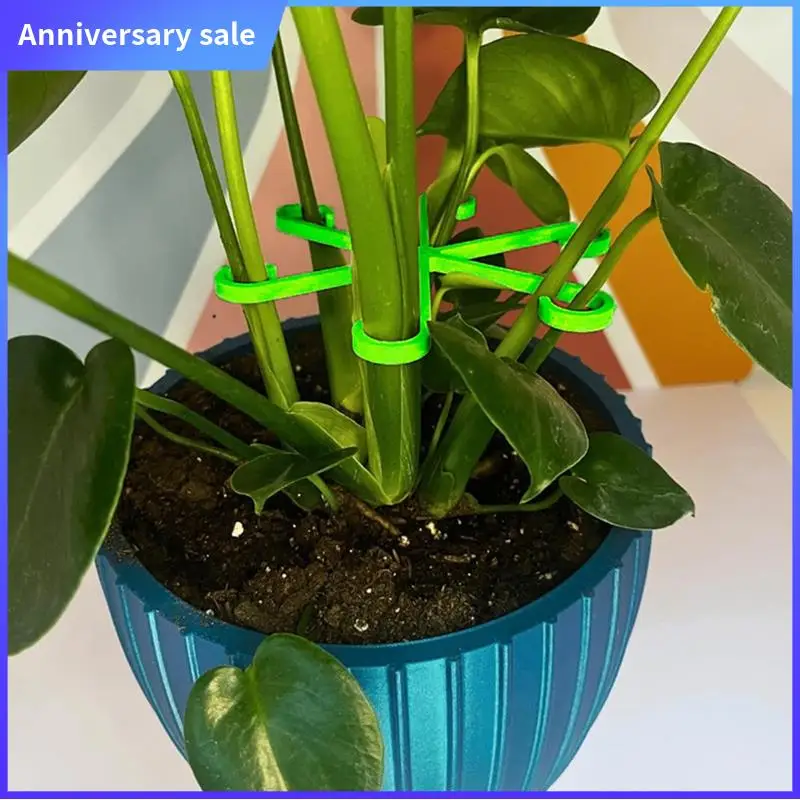 AD23-200PCS Plant Stem Holder Climbing Plant Stem Holders Hooks Garden Support Clips For Alocasia Monstera
AD23-200PCS Plant Stem Holder Climbing Plant Stem Holders Hooks Garden Support Clips For Alocasia Monstera