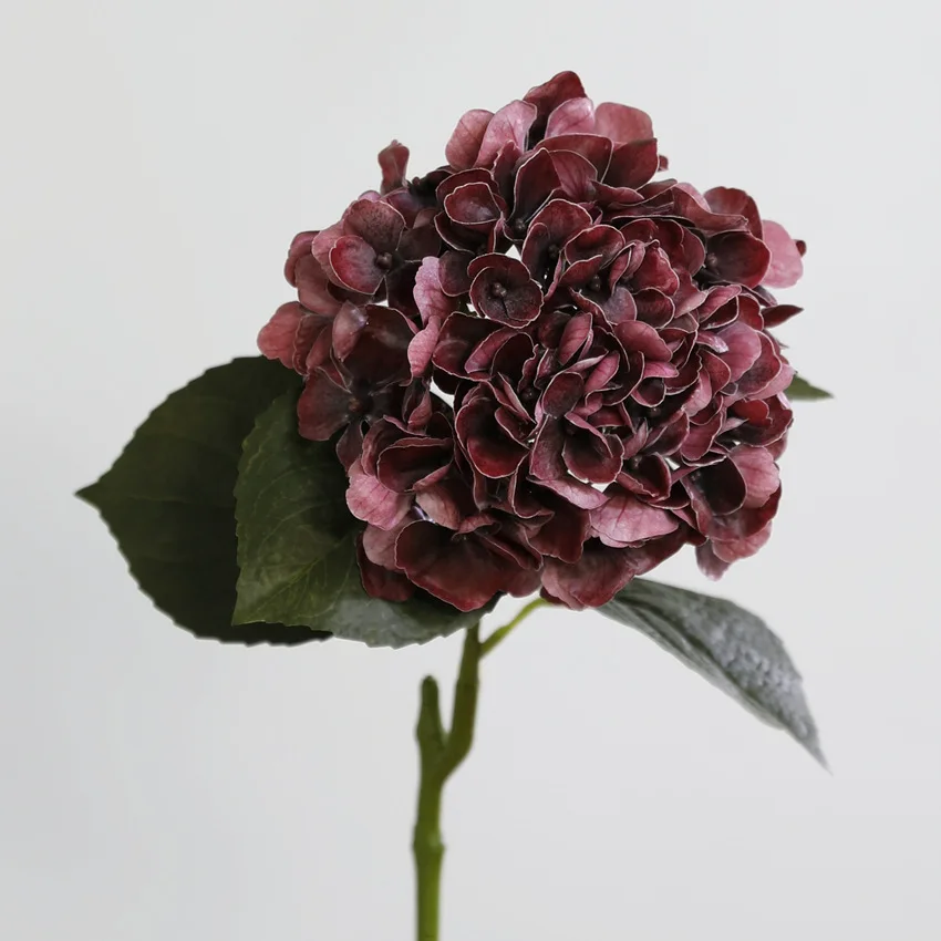 4Pcs Artificial Latex Hydrangea Real Touch Flowers Wedding Floral Arrangement Realistic Hydrangea Home Room Decor Party Layout
4Pcs Artificial Latex Hydrangea Real Touch Flowers Wedding Floral Arrangement Realistic Hydrangea Home Room Decor Party Layout