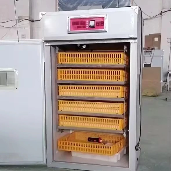 High-Precision Egg Incubators Wholesale Economically
High-Precision Egg Incubators Wholesale Economically