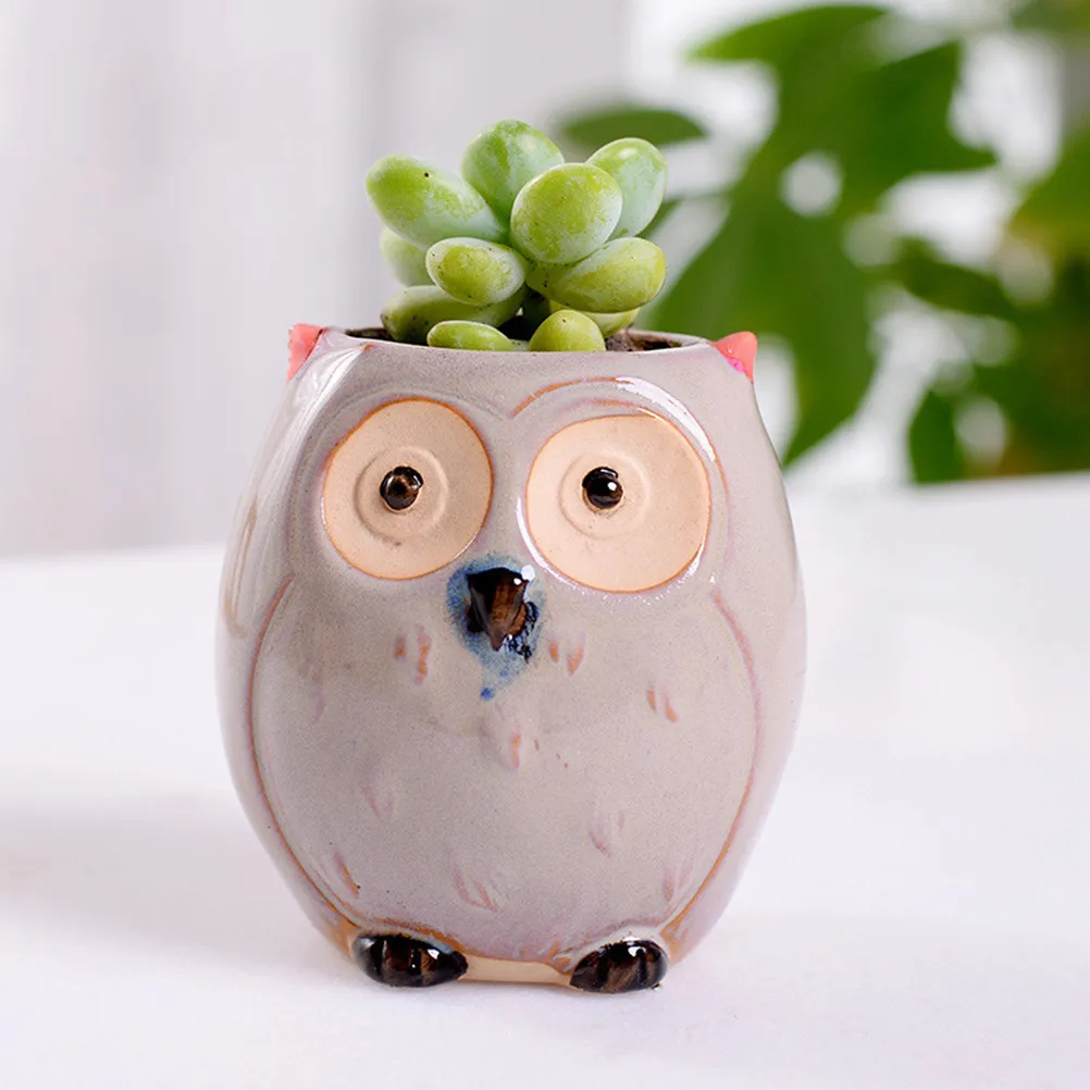 6Pcs Mini Ceramic Owl Flower Pots Set Succulent Planters for Home Office Coffee Bar Restaurant Modern Decorative Vase Gift
6Pcs Mini Ceramic Owl Flower Pots Set Succulent Planters for Home Office Coffee Bar Restaurant Modern Decorative Vase Gift