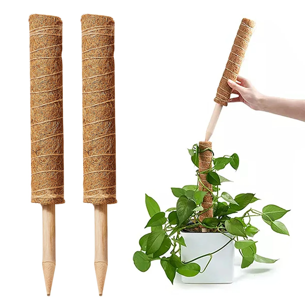 2 PCS 40CM Climbing Totem Pole Plant Support Indoor Climbing Plants StakeMoss Coconut Fiber Creeper Frame Indoor Garden Supplies
2 PCS 40CM Climbing Totem Pole Plant Support Indoor Climbing Plants StakeMoss Coconut Fiber Creeper Frame Indoor Garden Supplies