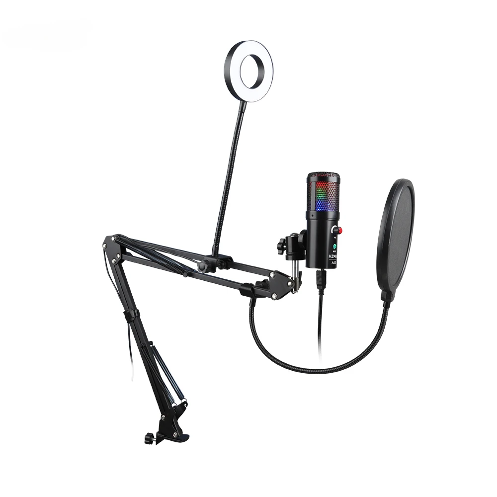 Gaming RGB Recording Microphone With Adjustable Arm Stand USB Desktops Condenser Mic For Podcasting Streaming Youtube
Gaming RGB Recording Microphone With Adjustable Arm Stand USB Desktops Condenser Mic For Podcasting Streaming Youtube