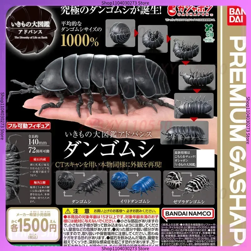 In Stock Bandai Bio-Encyclopedia Pill Bug / Woodlouse Realistic Cognitive Model Insect Collectible Decoration Model Toy Gifts
In Stock Bandai Bio-Encyclopedia Pill Bug / Woodlouse Realistic Cognitive Model Insect Collectible Decoration Model Toy Gifts