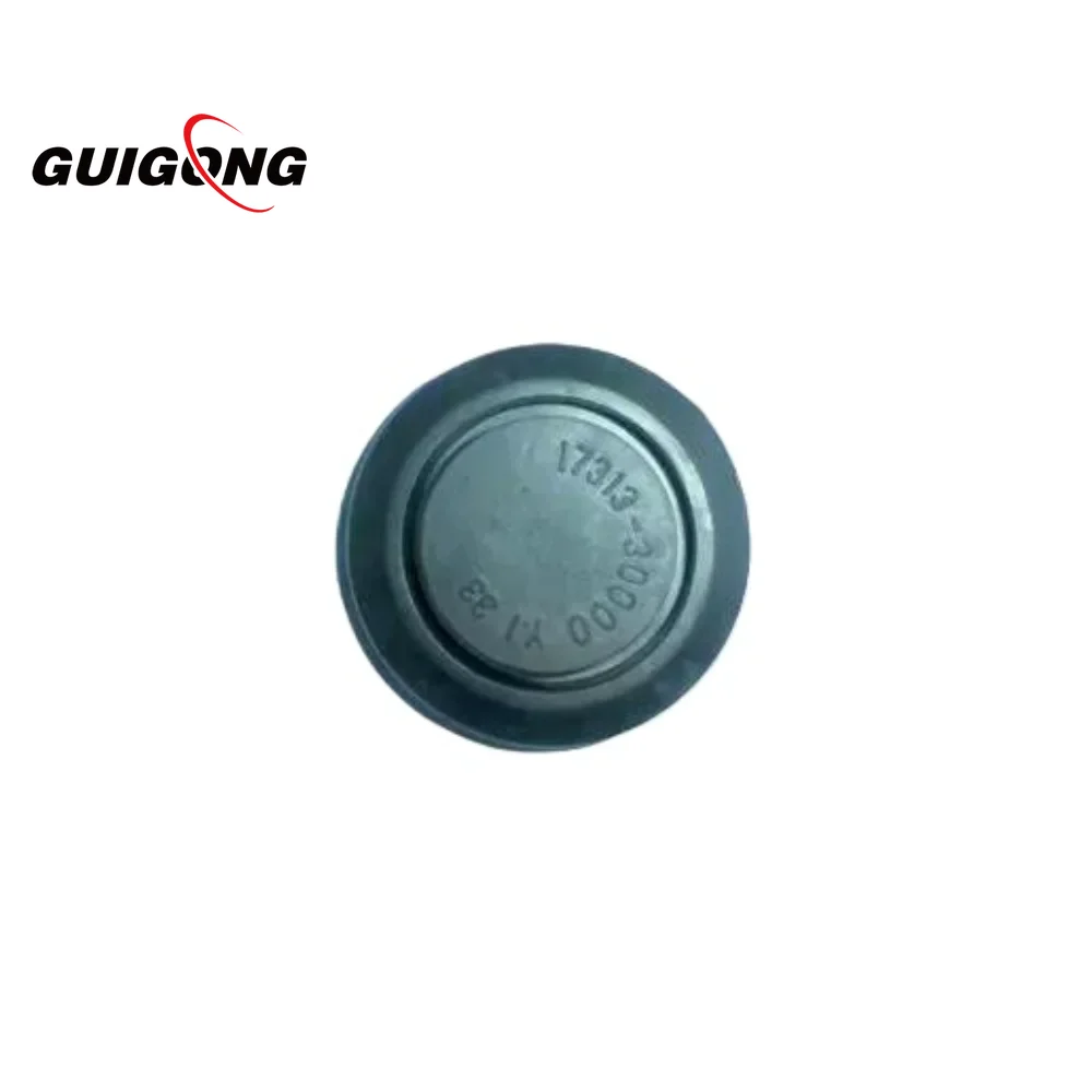 Крышка болта переднего и заднего модуля регулятора GUIGONG 17313-30000 для HYUNDAI Kia 1731330000
Крышка болта переднего и заднего модуля регулятора GUIGONG 17313-30000 для HYUNDAI Kia 1731330000