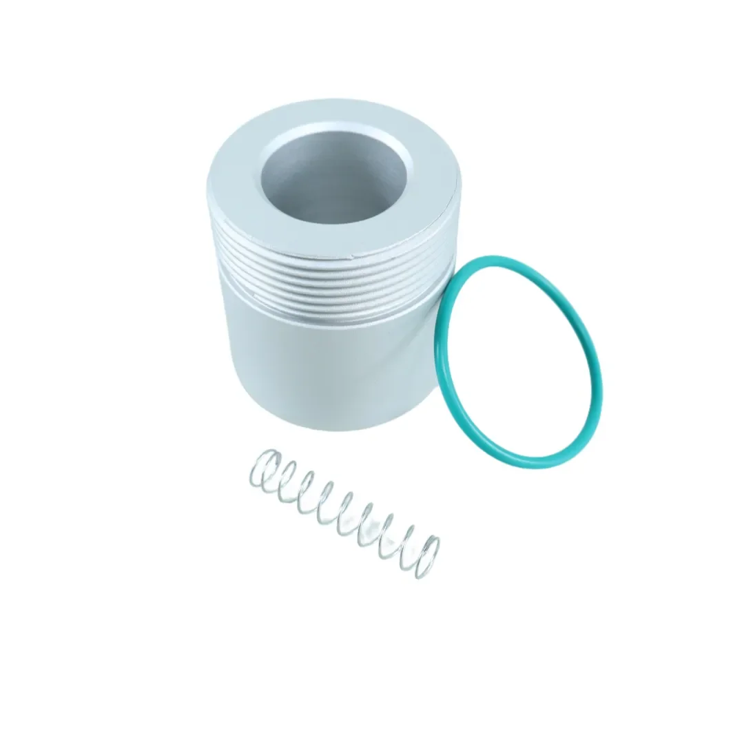 02250051-337 Minimum Pressure Valve Repair Kit Industrial Air Compressor Parts
02250051-337 Minimum Pressure Valve Repair Kit Industrial Air Compressor Parts