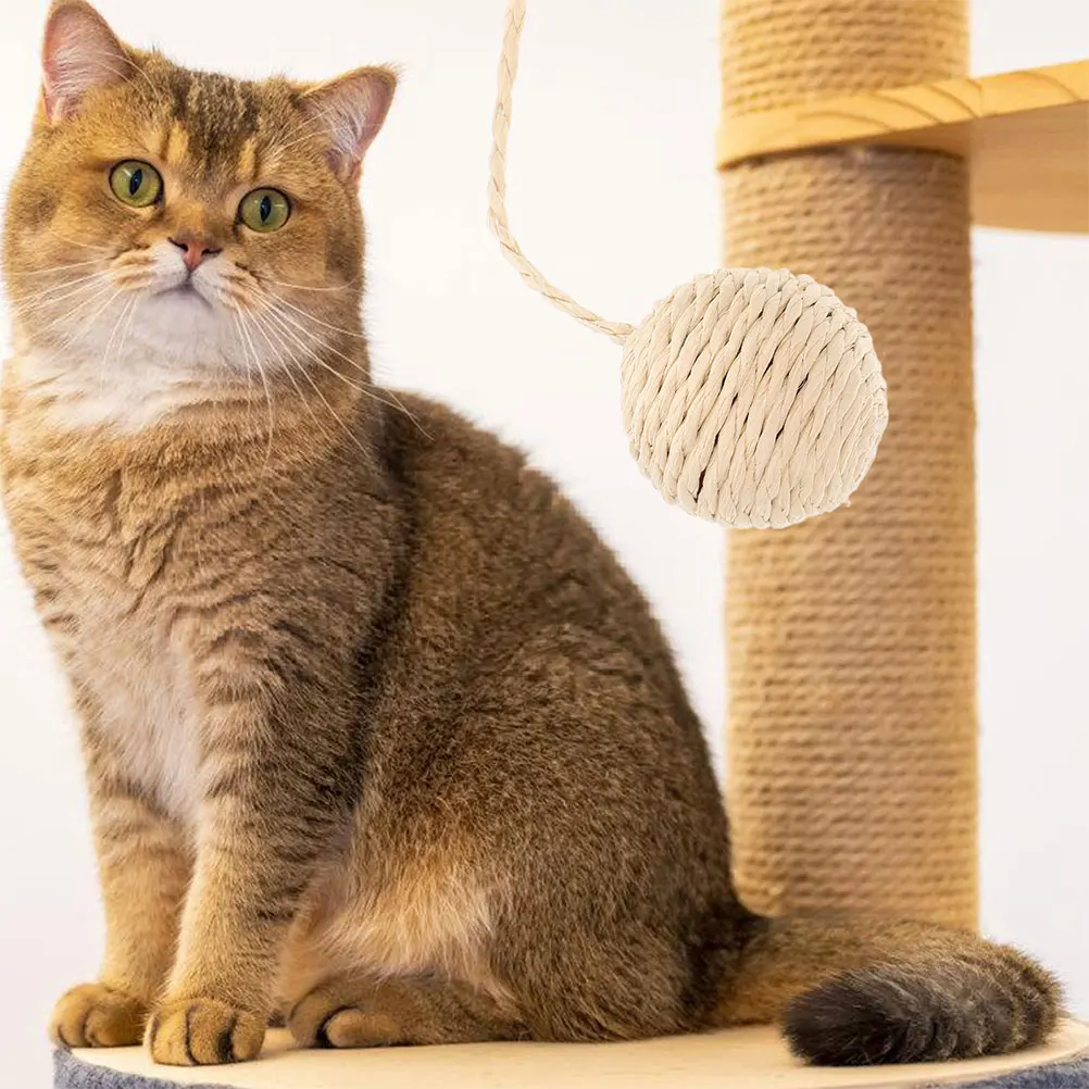 2pcs Cat Climbing Frame Replacement Ball Toy Durable Scratching Post Kitten Paper Rope Balls Indoor Cat Toys Furniture
2pcs Cat Climbing Frame Replacement Ball Toy Durable Scratching Post Kitten Paper Rope Balls Indoor Cat Toys Furniture