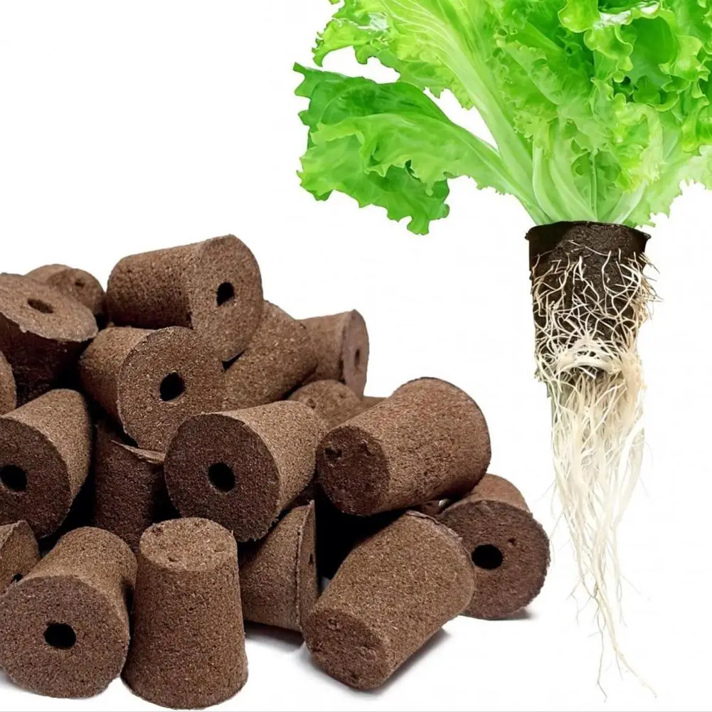 Губки для гидропоники, сменные губки для выращивания, капсулы для семян для гидропонных систем, для легкого проращивания семян
Губки для гидропоники, сменные губки для выращивания, капсулы для семян для гидропонных систем, для легкого проращивания семян