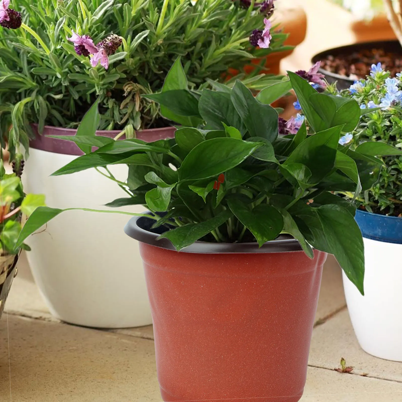 10Pcs Soft Plastic Flower Plant Pots Thin Lightweight Nursery Seedling Containers Breathable Drainage Transition Planting Pots
10Pcs Soft Plastic Flower Plant Pots Thin Lightweight Nursery Seedling Containers Breathable Drainage Transition Planting Pots