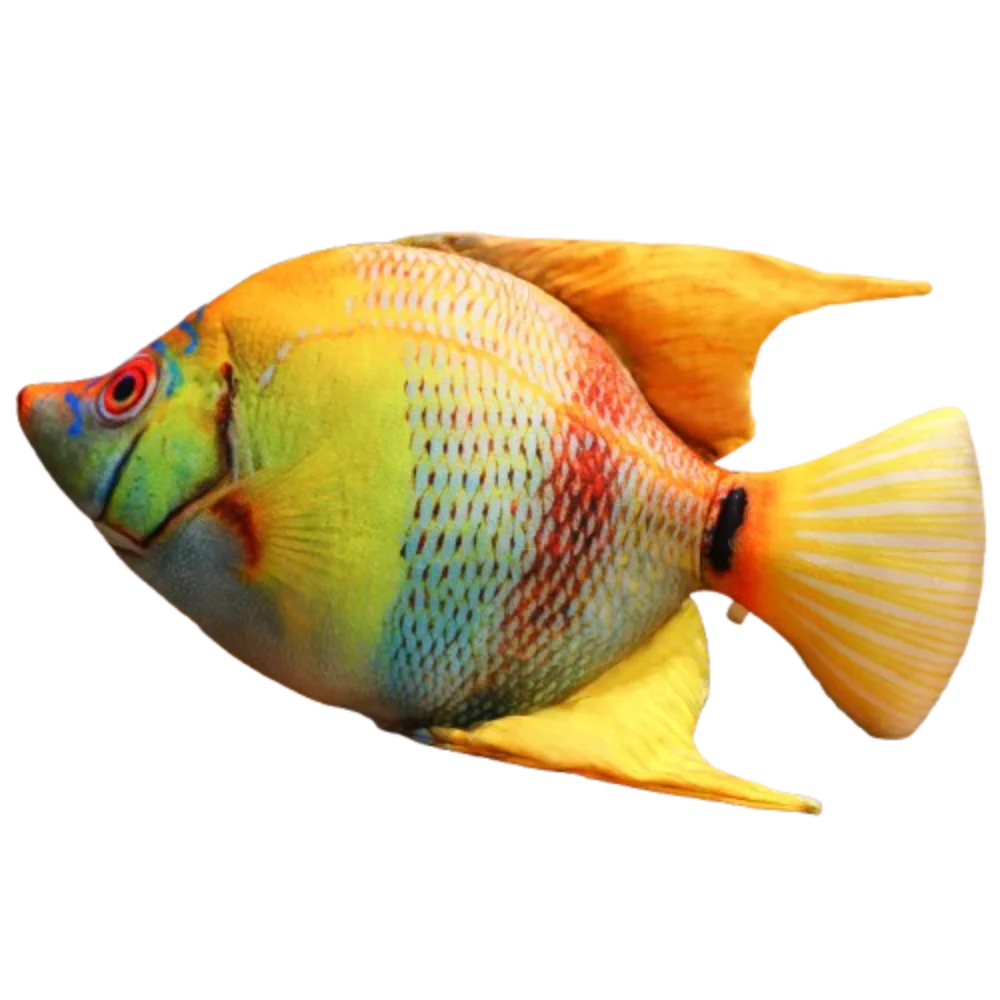 Stuffed Animal Simulated Sea Fish Pillow Cartoon Green Cartoon Fish Stuffed Doll Hugging Pillows Soft Fish Anime Pillow Dolls
Stuffed Animal Simulated Sea Fish Pillow Cartoon Green Cartoon Fish Stuffed Doll Hugging Pillows Soft Fish Anime Pillow Dolls