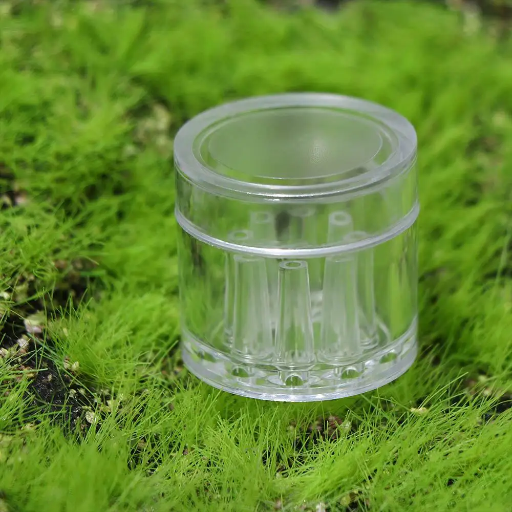 Transparent 8 Hole Durable Acrylic for Fish Tank Aquarium Cleaner Tool Worm Bait Pest Catcher Pest Feeding Box Leech Trap
Transparent 8 Hole Durable Acrylic for Fish Tank Aquarium Cleaner Tool Worm Bait Pest Catcher Pest Feeding Box Leech Trap